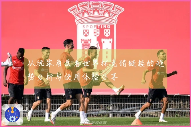 从玩家角度看世界杯竞猜链接的趋势分析与使用体验分享