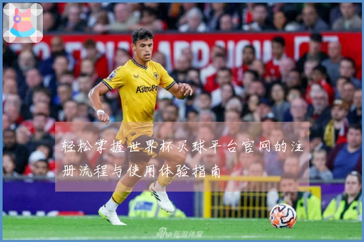 轻松掌握世界杯买球平台官网的注册流程与使用体验指南