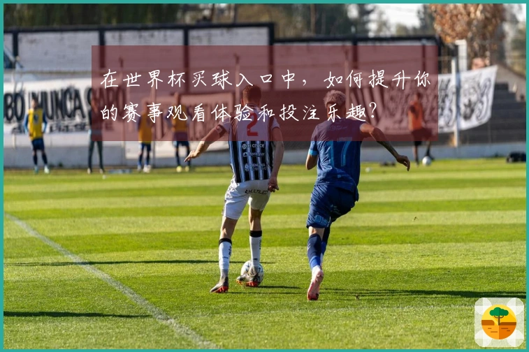 在世界杯买球入口中，如何提升你的赛事观看体验和投注乐趣？