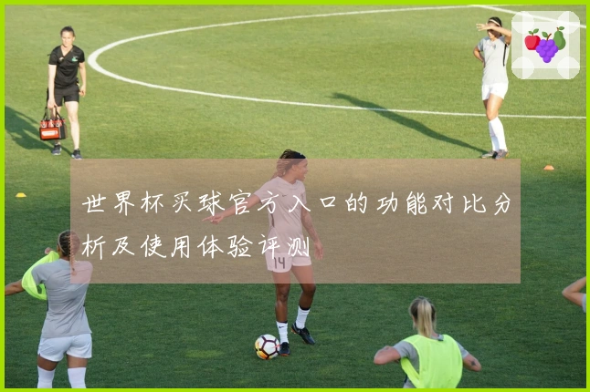 世界杯买球官方入口的功能对比分析及使用体验评测
