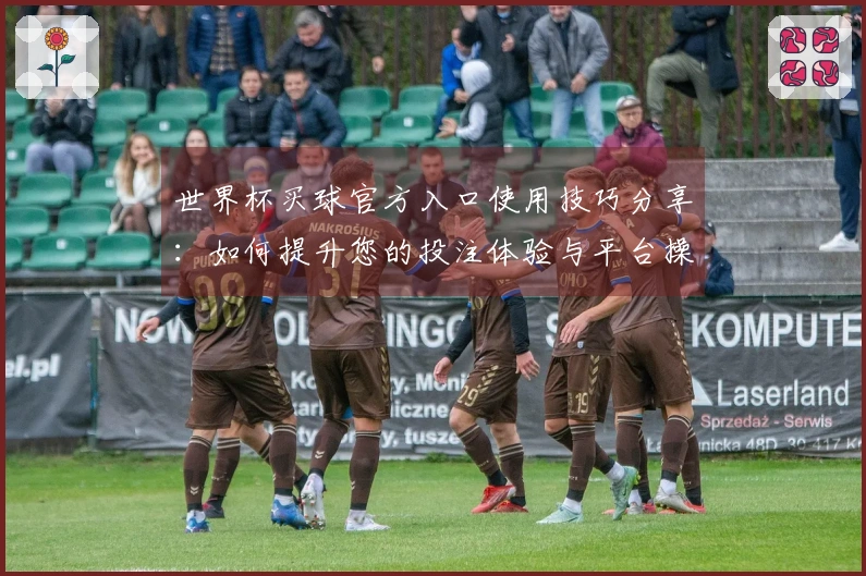 世界杯买球官方入口使用技巧分享：如何提升您的投注体验与平台操作效率