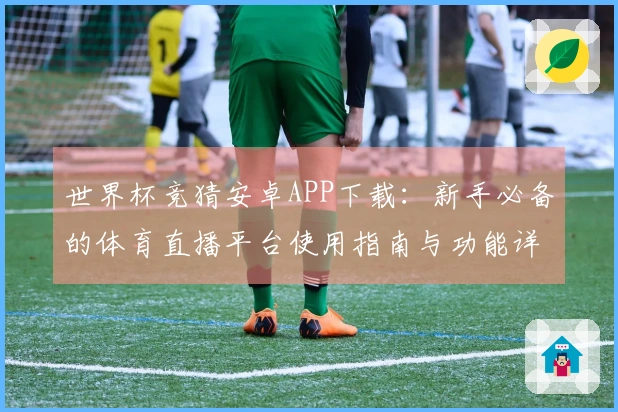 世界杯竞猜安卓APP下载：新手必备的体育直播平台使用指南与功能详解
