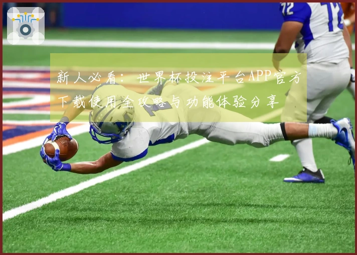 新人必看：世界杯投注平台APP官方下载使用全攻略与功能体验分享